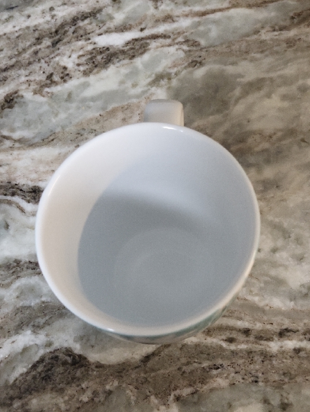 Hallmark Aqua Daisy Floral Ceramic Coffee Mug - Picture 5 of 6